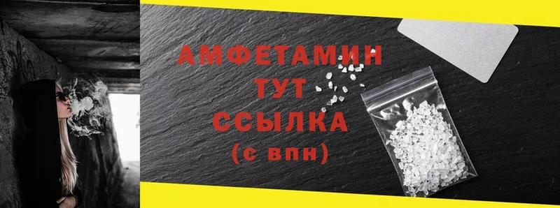 наркотики  Елизово  Amphetamine Premium 