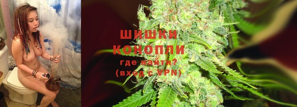 2c-b Богородицк