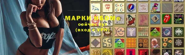 2c-b Богородицк